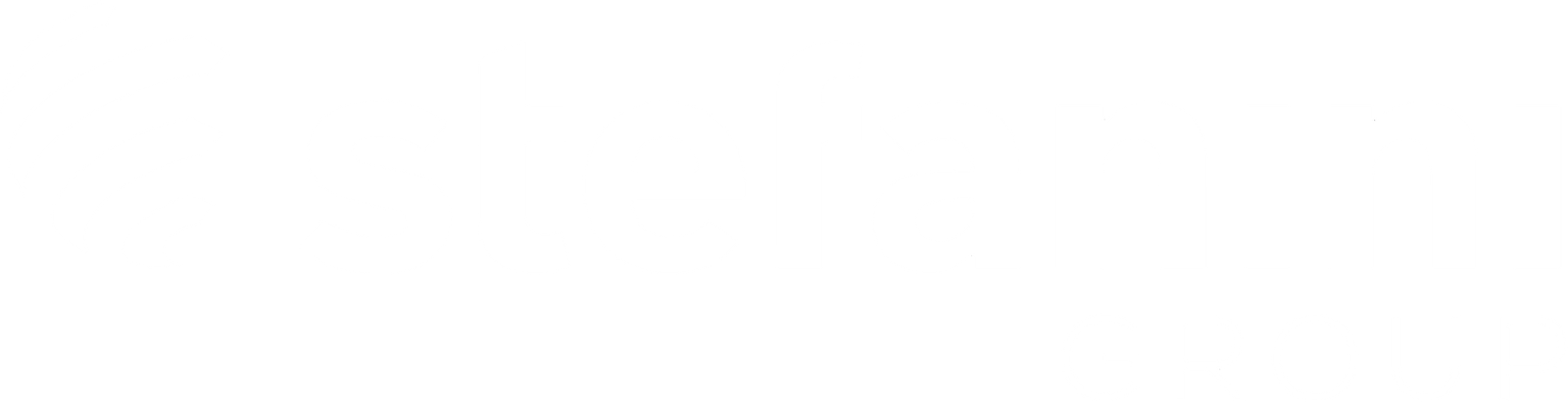 Stafanini Group